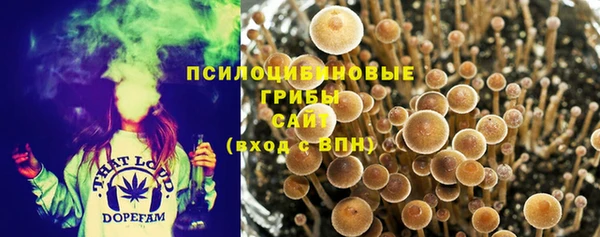 мет Каменногорск