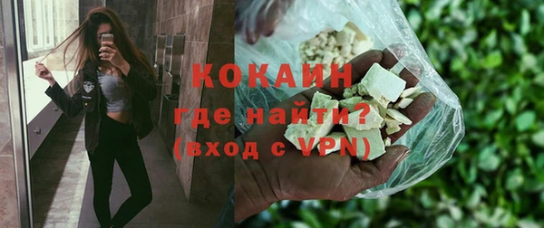 ПСИЛОЦИБИНОВЫЕ ГРИБЫ Каменка